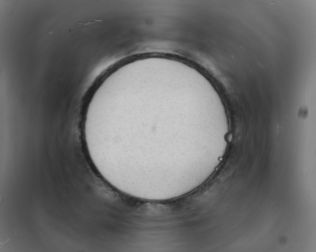 X0000101691312200808071124