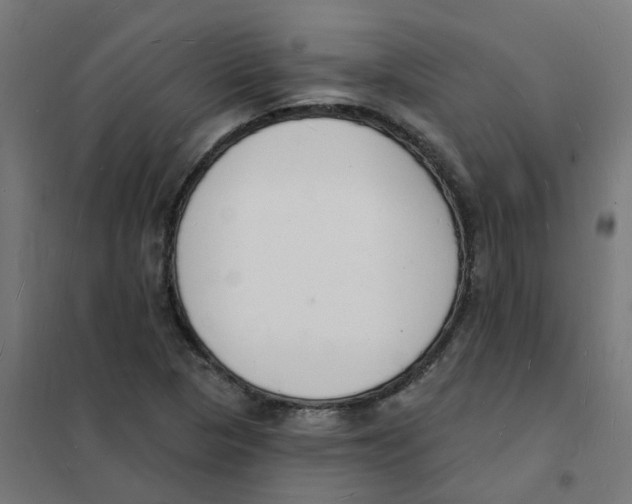 X0000101691313200808071124