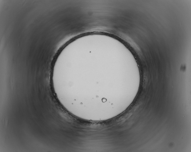 X0000101691316200808071124