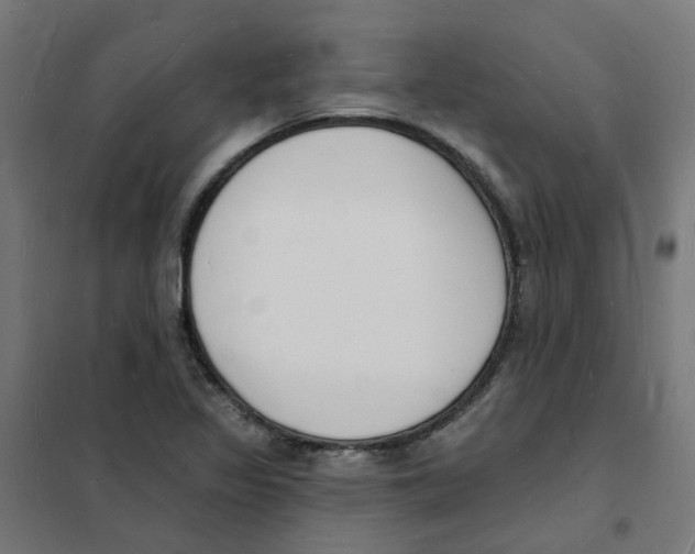 X0000101691317200808071124