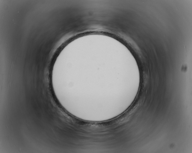 X0000101691318200808071124