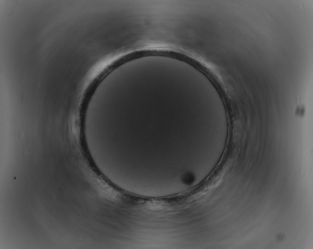 X0000101691319200808071124