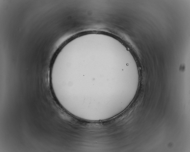 X0000101691320200808071124