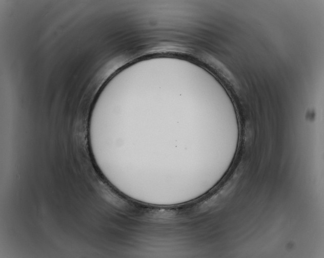 X0000101691321200808071124