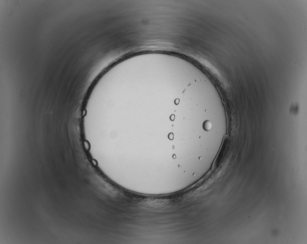 X0000101691325200808071124