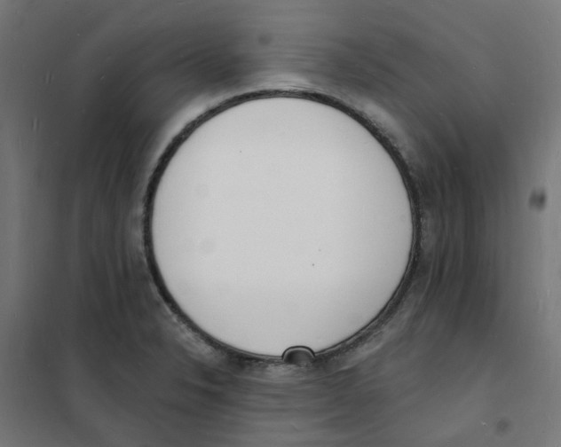 X0000101691326200808071124