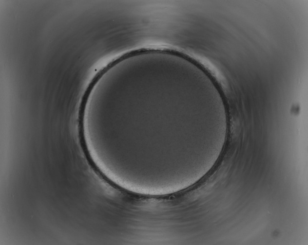 X0000101691327200808071124