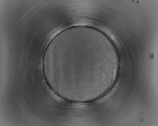 X0000101691329200808071124