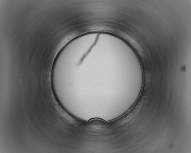 X0000101691330200808071124