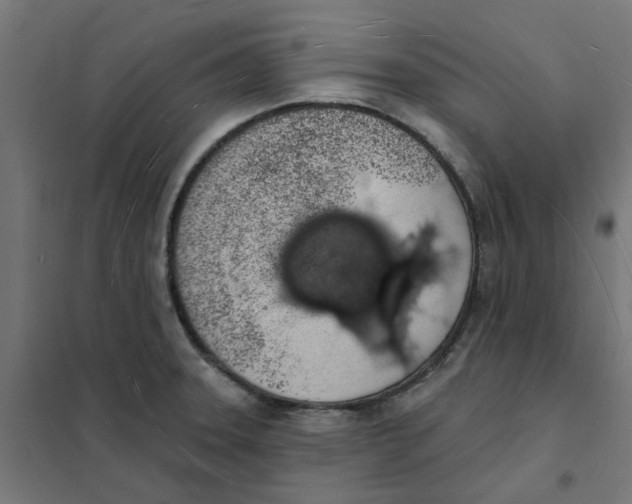 X0000101691331200808071124