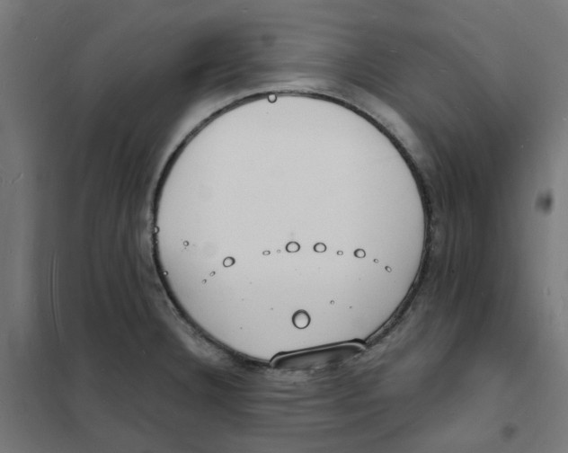 X0000101691332200808071124