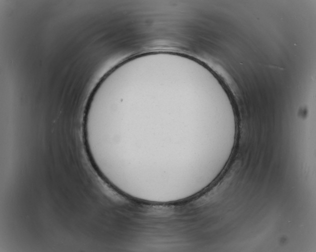 X0000101691333200808071124