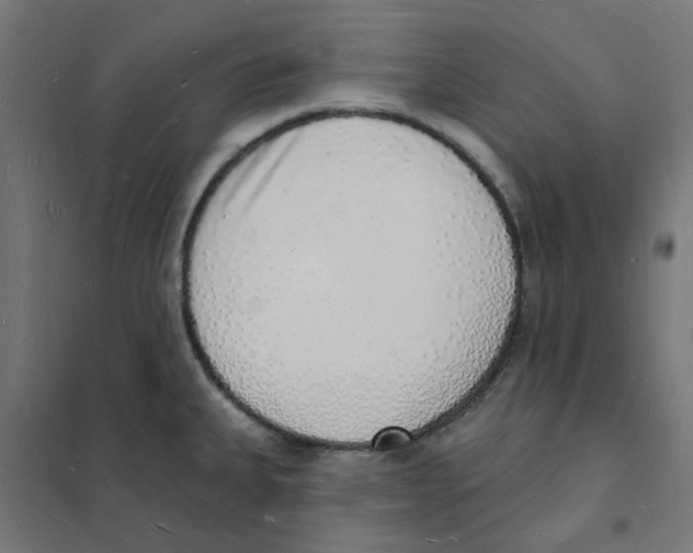 X0000101691335200808071124