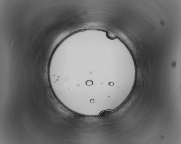 X0000101691336200808071124