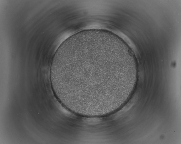 X0000101691337200808071124