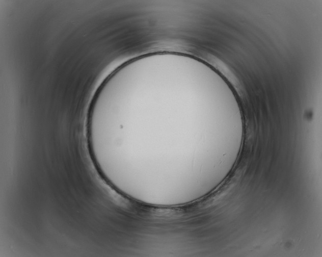 X0000101691339200808071124