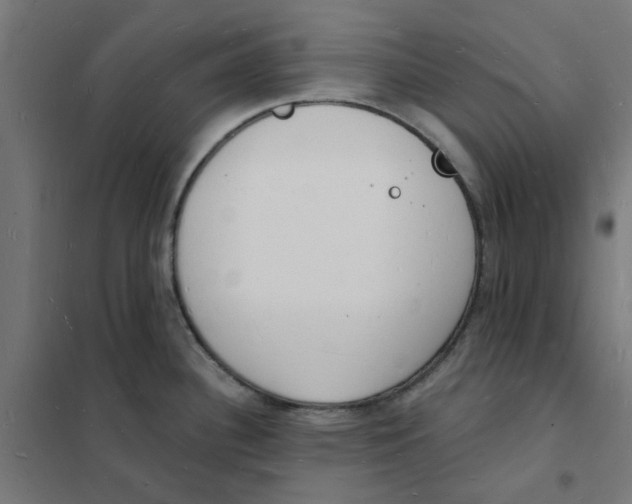 X0000101691340200808071124