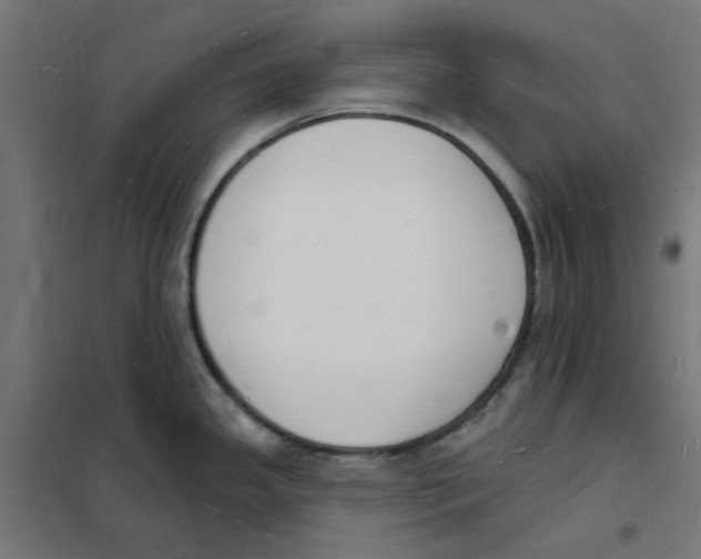 X0000101691341200808071124