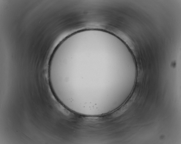 X0000101691342200808071124