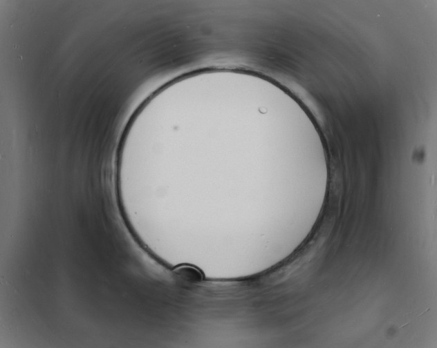 X0000101691343200808071124