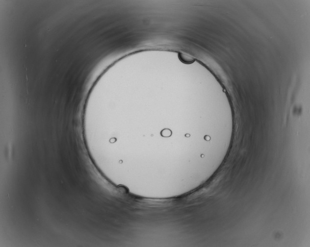 X0000101691344200808071124