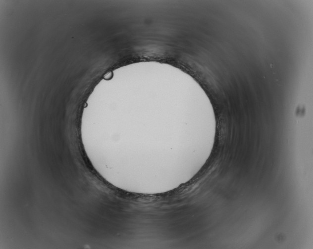 X0000101691345200808071123