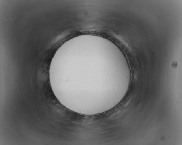 X0000101691350200808071123