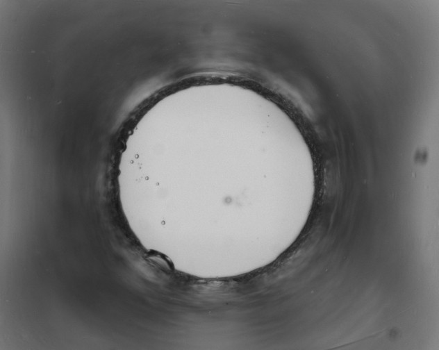 X0000101691352200808071123