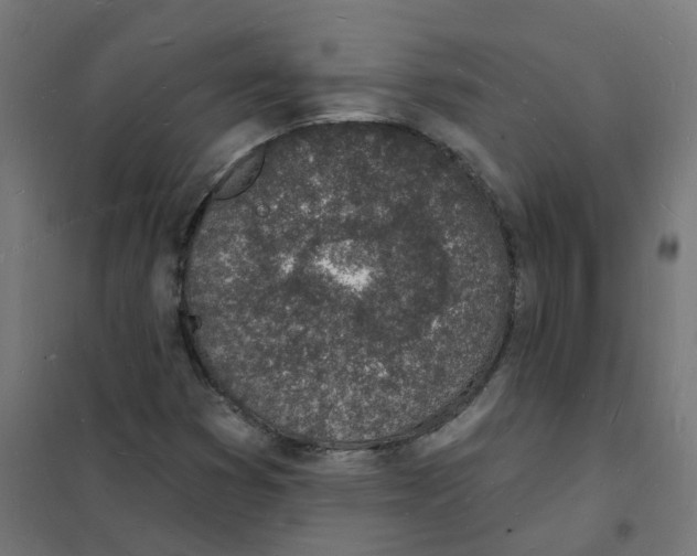 X0000101691353200808071123