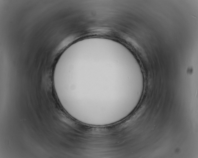 X0000101691354200808071123