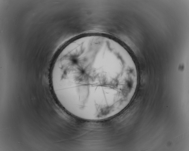 X0000101691356200808071123