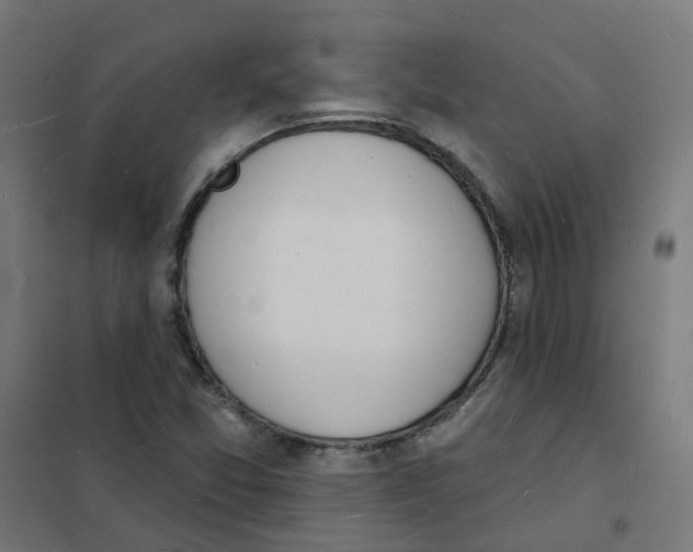 X0000101691357200808071123