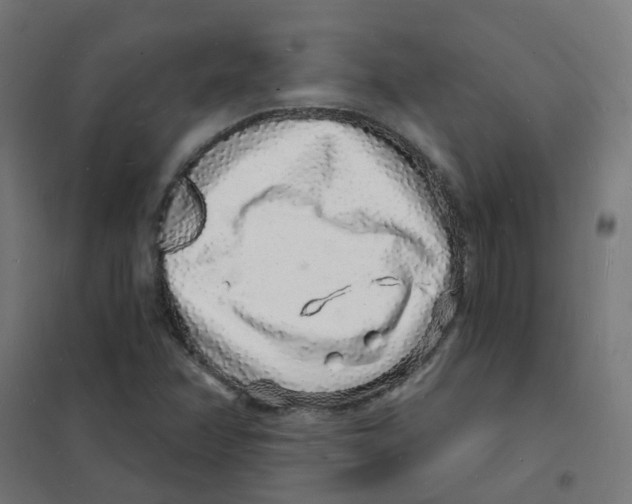 X0000101691358200808071123