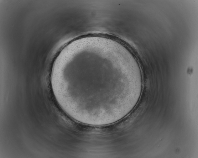 X0000101691359200808071123