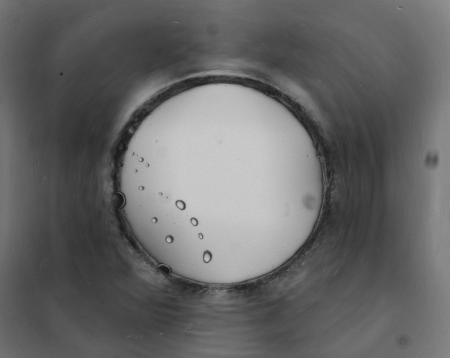 X0000101691360200808071123