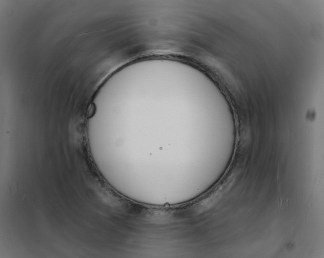 X0000101691361200808071123