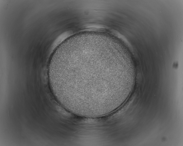 X0000101691362200808071123