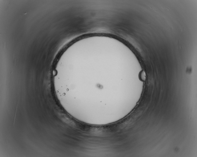 X0000101691364200808071123