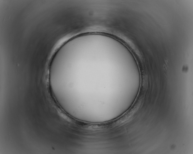 X0000101691366200808071123