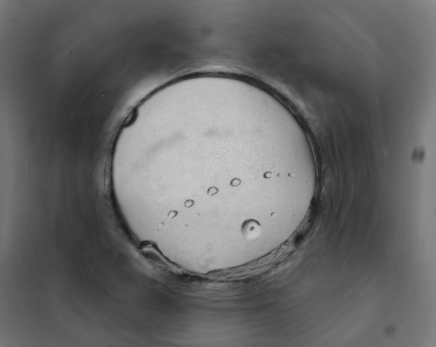 X0000101691367200808071123