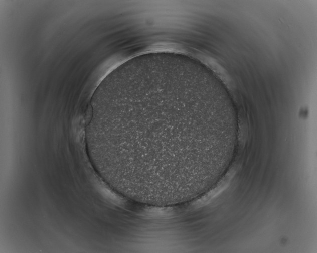 X0000101691369200808071123