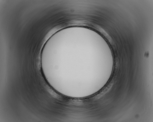 X0000101691370200808071123