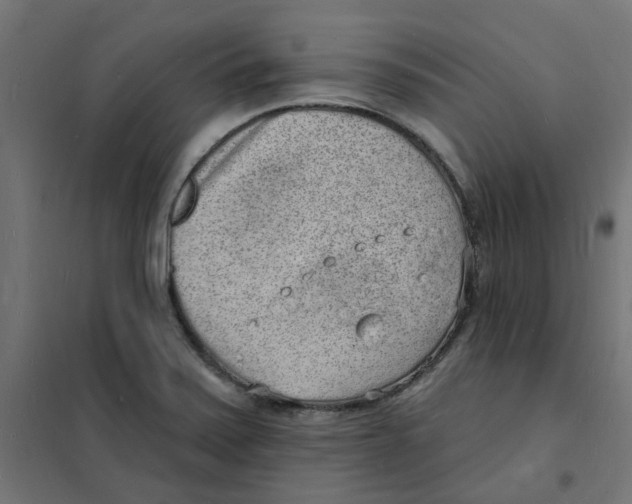 X0000101691371200808071123