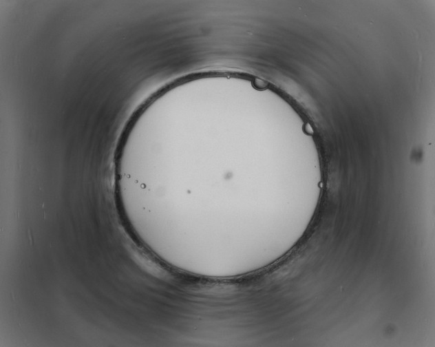 X0000101691372200808071123