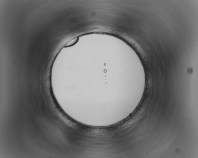 X0000101691375200808071123