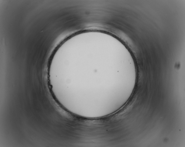 X0000101691376200808071123