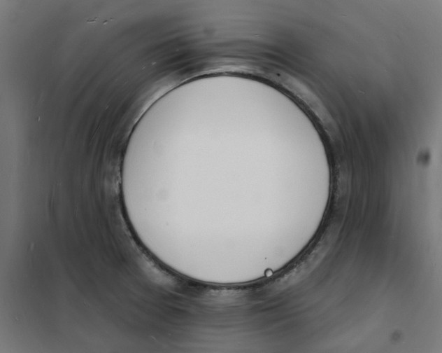 X0000101691377200808071123