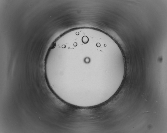 X0000101691380200808071123