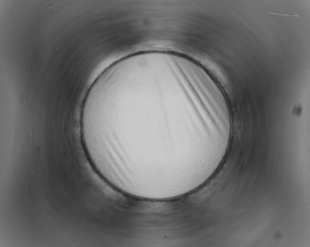 X0000101691382200808071123