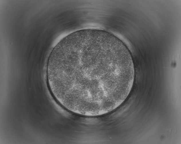 X0000101691383200808071123